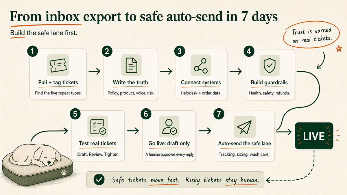 A seven-step timeline from day one pulling tickets to day seven turning on auto-send for safe tickets.